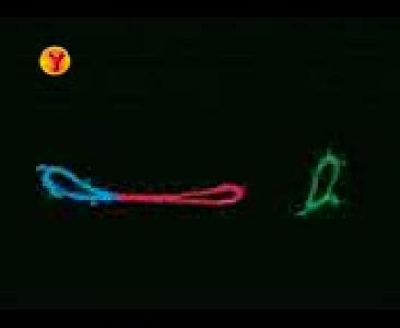 ���zler Okulda E�lence