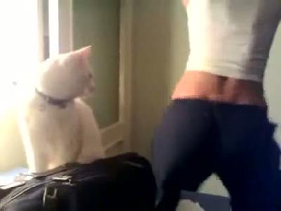 Kediyi ba�tan ��kard�
