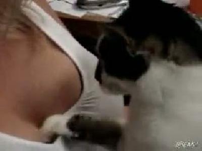 Kedi buldun memeler elle bakal�m