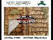 Turkish  Dried Figs - SAMRIOGLU Hazelnuts and Drie