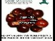 Turkish Chestnuts - SAMRIOGLU Hazelnuts and Dried 