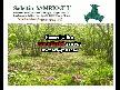 Turkish Hazelnuts and Dried Fruits Varieties - SAM