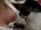 Kedi buldun memeler elle bakal�m