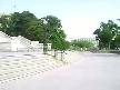 apa�i dans�_ from u.s.a