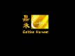 *** bruce lee _ big boss ***