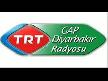 Bing�l �niversitesi Rekt�r� TRT Gap Diyarbak�r Rad