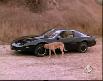 Knight Rider Frammento Particolare