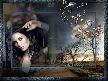 e�i benzeri olmayan bir �iir ( A�k mah�ere kald� )