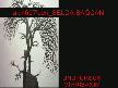 Selda  BA�CAN-UNUTURSUN  M�HR�BANIM